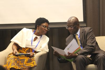 afrehealth-7symposium-day318-30-4