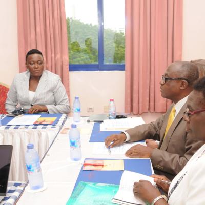 Afrehealth Meeting Lusaka Zambia Jan 2017 13 20180122 2058015148