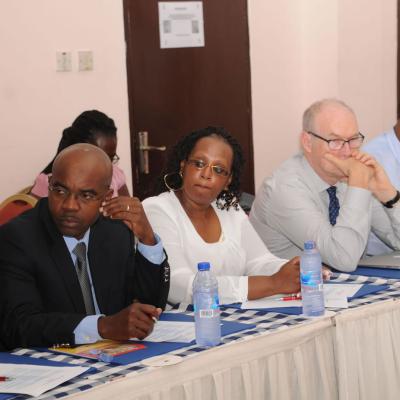 Afrehealth Meeting Lusaka Zambia Jan 2017 18 20180122 2007488355