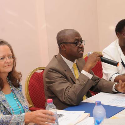 Afrehealth Meeting Lusaka Zambia Jan 2017 19 20180122 1619054120