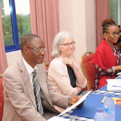 Afrehealth Meeting Lusaka Zambia Jan 2017 21 20180122 1401231648