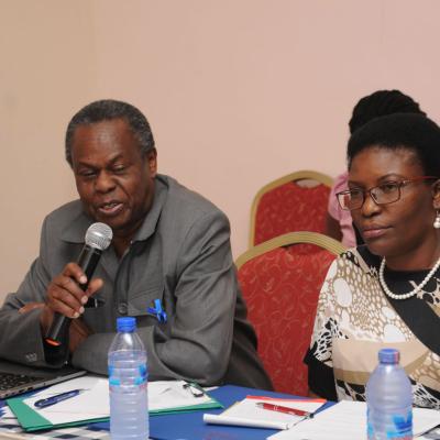 Afrehealth Meeting Lusaka Zambia Jan 2017 23 20180122 1949608609