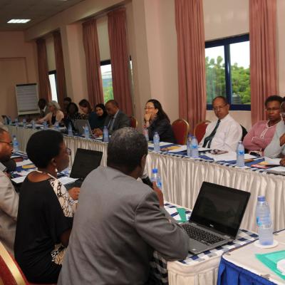 Afrehealth Meeting Lusaka Zambia Jan 2017 25 20180122 1206481171