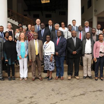 Afrehealth Meeting Lusaka Zambia Jan 2017 31 20180122 1985879653