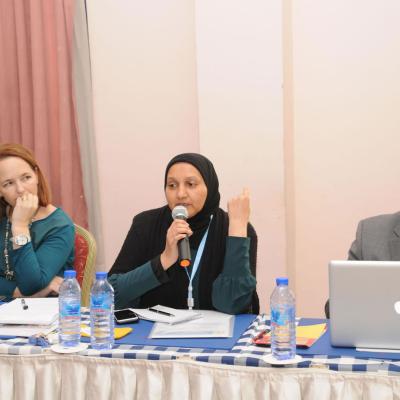 Afrehealth Meeting Lusaka Zambia Jan 2017 35 20180122 1535405403