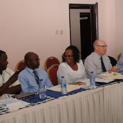 Afrehealth Meeting Lusaka Zambia Jan 2017 37 20180122 1599178966