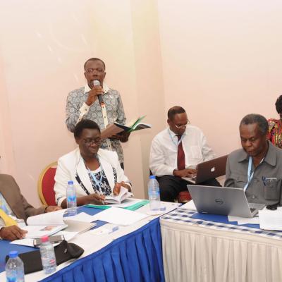 Afrehealth Meeting Lusaka Zambia Jan 2017 38 20180122 1440024746