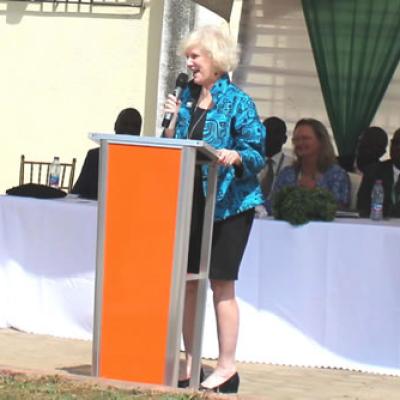 Afrehealth Commissioning Secretariat Jan2008