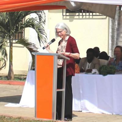 Afrehealth Commissioning Secretariat Jan2009