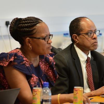 Governing Council Meeting In Gaborone Botswana On 18 19 February 2019 6 20190318 1281013919